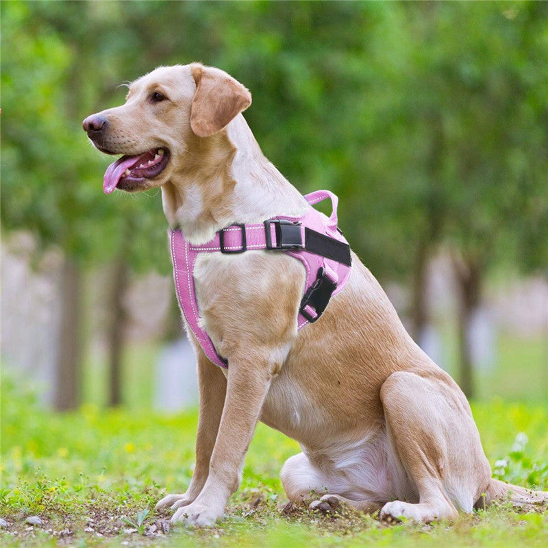 The Ultimate Adventure Companion: Dog Vest Chest Strap Leash